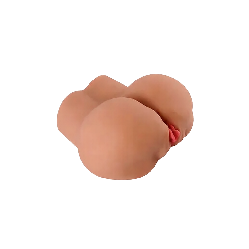 BELA