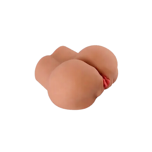 BELA